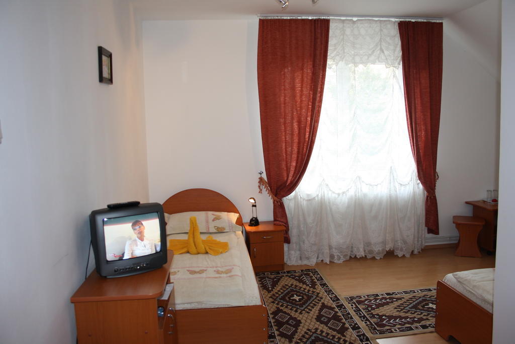 Pensiunea Claudiu Caransebes Room photo